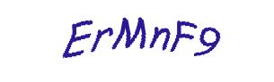 عبارت امنیتی