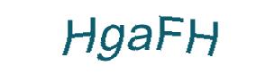 عبارت امنیتی