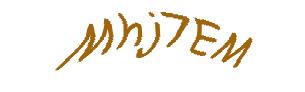 عبارت امنیتی