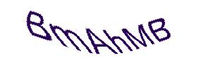 عبارت امنیتی