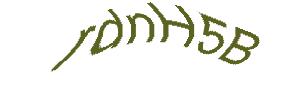 عبارت امنیتی