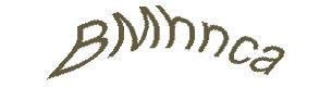 عبارت امنیتی