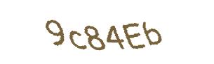 عبارت امنیتی