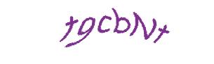 عبارت امنیتی