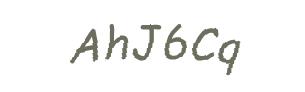 عبارت امنیتی