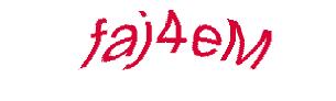 عبارت امنیتی