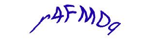 عبارت امنیتی