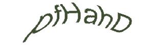 عبارت امنیتی