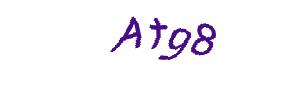 عبارت امنیتی