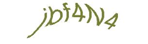 عبارت امنیتی
