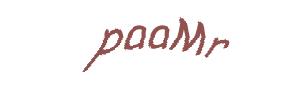 عبارت امنیتی