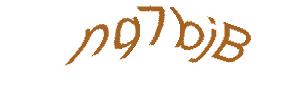 عبارت امنیتی