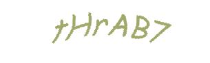 عبارت امنیتی