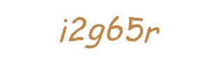 عبارت امنیتی