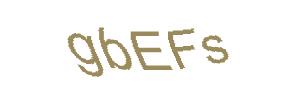 عبارت امنیتی