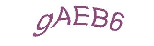 عبارت امنیتی