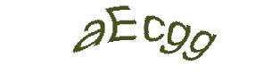 عبارت امنیتی