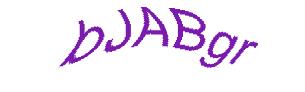 عبارت امنیتی