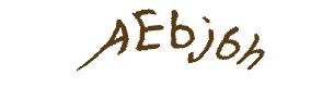 عبارت امنیتی