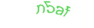 عبارت امنیتی