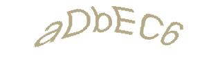 عبارت امنیتی