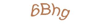 عبارت امنیتی