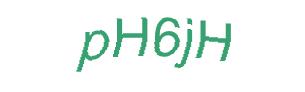عبارت امنیتی
