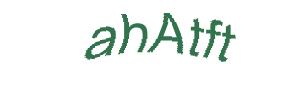 عبارت امنیتی