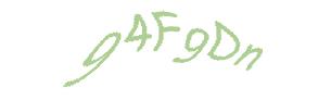عبارت امنیتی