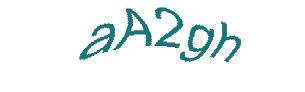 عبارت امنیتی