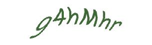 عبارت امنیتی