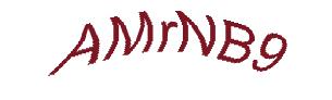 عبارت امنیتی