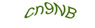 عبارت امنیتی