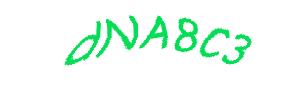 عبارت امنیتی