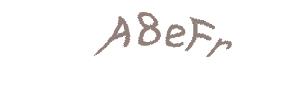 عبارت امنیتی