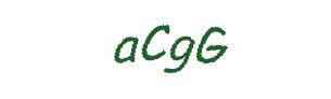 عبارت امنیتی