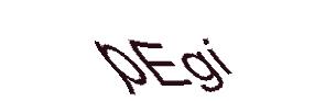 عبارت امنیتی
