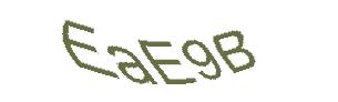 عبارت امنیتی