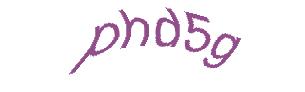 عبارت امنیتی
