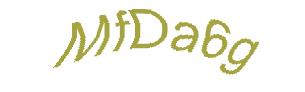 عبارت امنیتی
