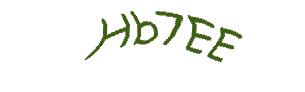 عبارت امنیتی