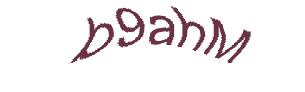 عبارت امنیتی