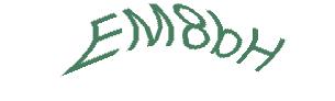 عبارت امنیتی