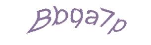 عبارت امنیتی
