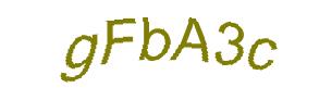 عبارت امنیتی