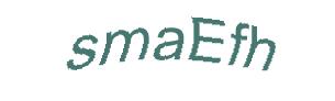 عبارت امنیتی
