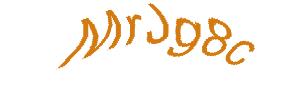 عبارت امنیتی