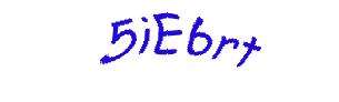 عبارت امنیتی