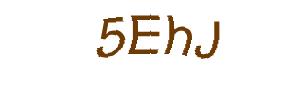 عبارت امنیتی