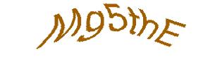 عبارت امنیتی